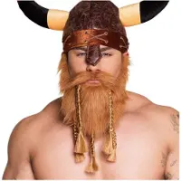 Boland Baard viking