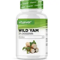 Vit4ever - Wild Yam Wortelextract - 365 Vegan Capsules - 880 mg - 20% Diosgenine - Hoogwaardige Mexicaanse Wild Yam