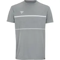 Tecnifibre Team Tech Short Sleeve T-shirt Grijs XL Man