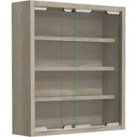 VCM AgisaS glazen vitrines wandmontage 2 schuifdeuren eik decor.