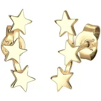 Elli Oorbellen 'Astro' goud