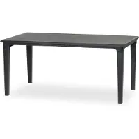 Allibert tuintafel Futura kunststof grafiet 165x94cm