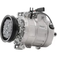 RIDEX 447K0750 Aircopomp