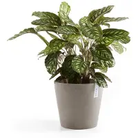 Ecopot's Bloempot Amsterdam Taupe D 25 H 22 Cm