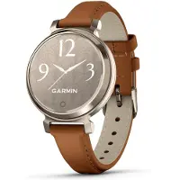 Garmin lily 2 classic