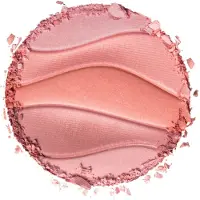 Physicians Formula Blush Butter Believe It! 5.5 g