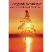 Benza Dubbele Religieuze Kerstkaarten 14 - 6 stuks