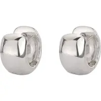Traveller Oorringen - Oorbellen Dames - Zilver - Ring - Edelstaal - Ø 14 mm - Zilverkleurig - Oorstekers - 166324