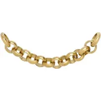 Ixxxi Connect Ketting Amy | Goud