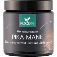 Foodin Pruikzwam Lion’s Mane Extract-