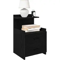 vidaXL Nachtkastjes 2 st met 2 lades zwart 40x36,5x62 cm