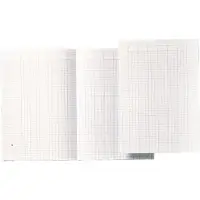 Atlanta accountantspapier A4 met 14 kolommen (100 vel)
