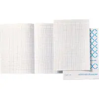 Djois Accountantspapier Atlanta folio 14 kolommen 100vel