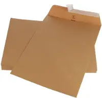 Gallery enveloppen formaat 250 x 350 mm stripsluiting bruine kraft doos van 250 stuks