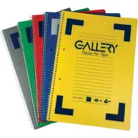 Gallery Traditional spiraalschrift ft A4, gelijnd, geassorteerde kleuren, 160 bladzijden