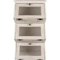 Clayre & Eef Wandkast 33x25x61 cm hout metaal