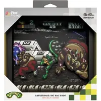 Pixel Frames Battletoads Shadow Box Art 23x23CM-Big Bad Boot (Diversen) Nieuw