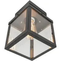 QAZQA Industriële buitenplafondlamp zwart 1-lichts - Rotterdam