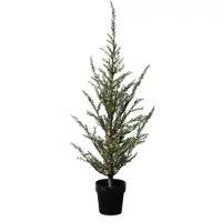 Sirius Kerstboom Kleine