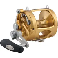 Penn International Vis Trolling Reel Goud 70