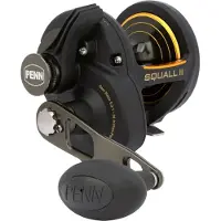 Penn Squall Ii Lever Drag Trolling Reel Goud 30