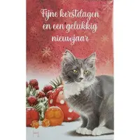 Franciens katten Kerstkaarten Francien katten - rode kerstkaart grijze poes - 8 wenskaarten met 8 enveloppen - voor kerst