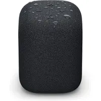 Sony LinkBuds Speaker Zwart