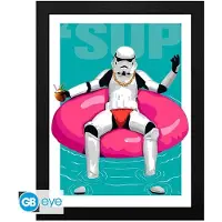 Ginza.se ORIGINAL STORMTROOPER - Framed print "Pool Boy" (30x40) x2