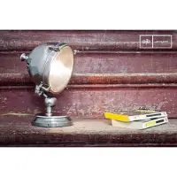 PIB Verzilverde industriele lamp