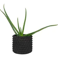 QUVIO Bloempot met bolletjes - Beton - Diameter 15 cm