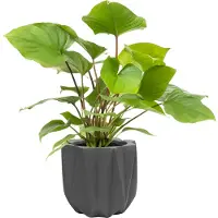 QUVIO Bloempot cement - 15 x 15 x 14 cm - Grijs