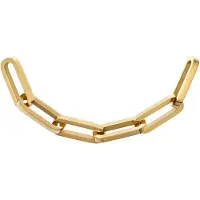 Ixxxi Connect Ketting Connect | Goud