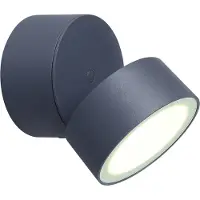 Lutec buitenlamp Trumpet antraciet