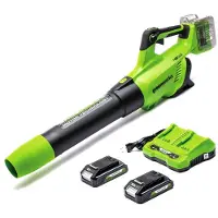Greenworks 48 VOLT (2X24 VOLT) ACCU BLADBLAZER incl. 2x Li-Ion accu & lader