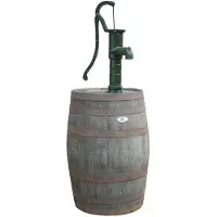 Vatenhandel Stijf Regenton Whiskyvat 190l geborsteld met pomp