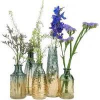 QUVIO Glazen vazen - Set van 5 - Geel/Blauw