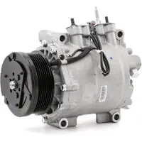 RIDEX 447K0078 Aircopomp