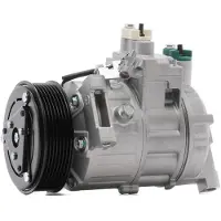 RIDEX 447K0175 Aircopomp