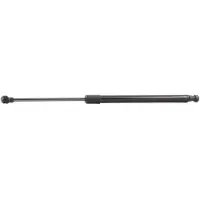RIDEX 219G0463 Gasveer achterklep