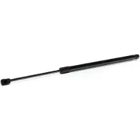 RIDEX 219G1098 Gasveer achterklep