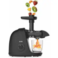 DistinQ Slowjuicer – 2 Snelheden & Incl. Pulpcontainer – 700 ml – 32 x 18 x 38 cm – Zwart