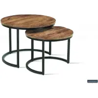 Molecule Salontafelset goja 2-delig mangohout met metalen frame industrieel design
