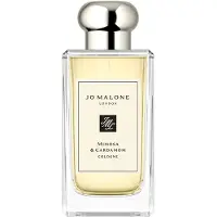 Jo Malone - Mimosa & Cardamom Cologne - 100 ML