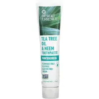 Desert Essence , Theeboomolie & Neem tandpasta, Wintergroen, 6,25 oz (176 g)
