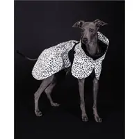 PAIKKA Raincoat 2.0