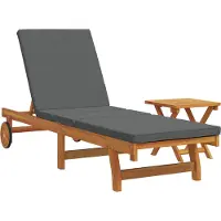vidaXL Ligstoel 2 st Massief Acacia Hout Bruin