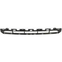 BLIC 6502-07-0022990P Ventilatiegrille, bumper