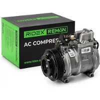 RIDEX 447K0111R Aircopomp