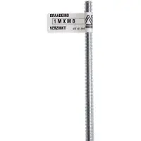 Deltafix draadeind verzinkt 1 m x m 14 din 975 1 st.