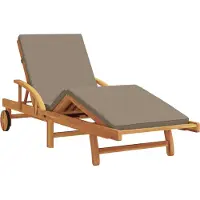 vidaXL Ligstoel Massief Acacia Hout Taupe